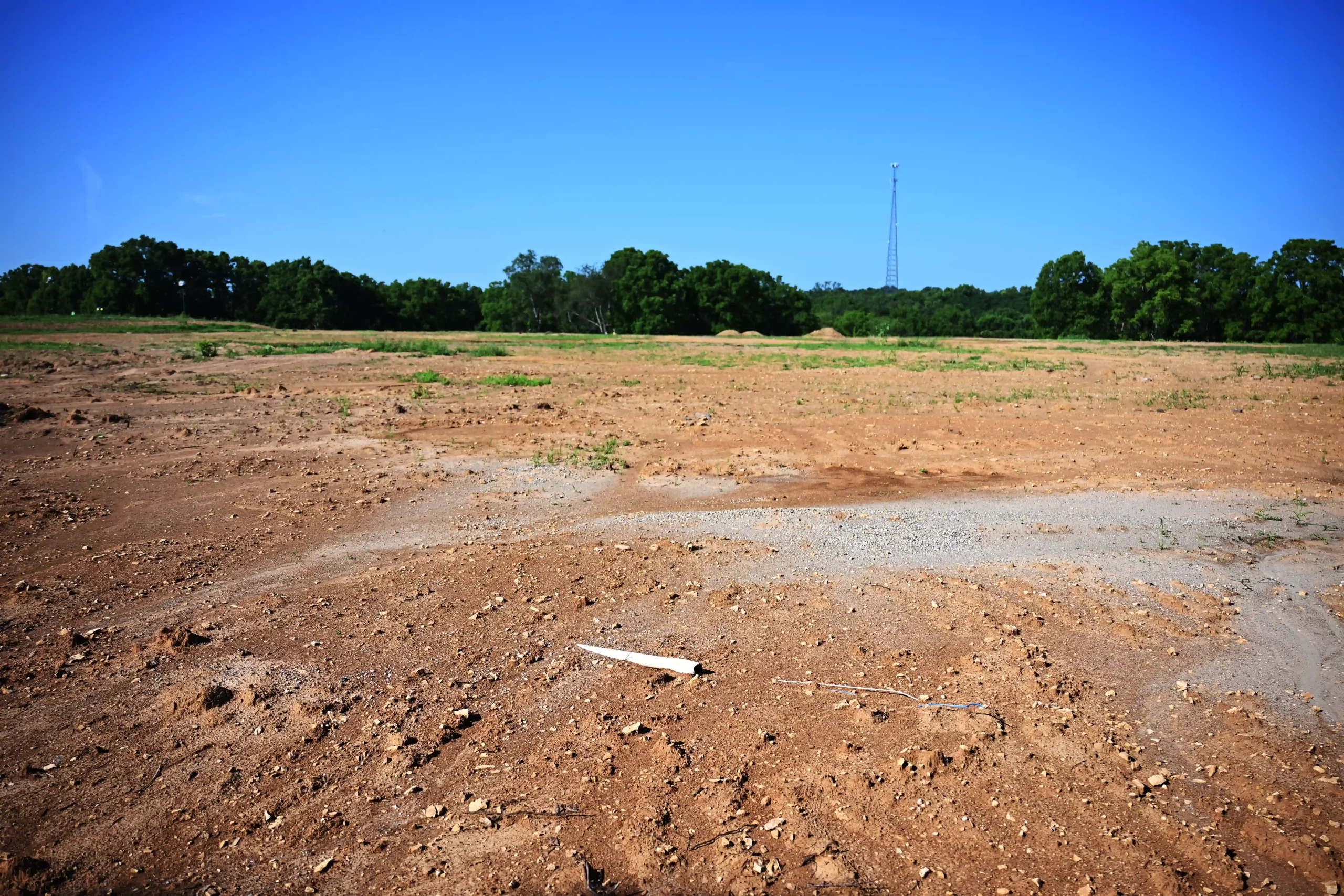 Buena Vista Future Cricket Pitch
